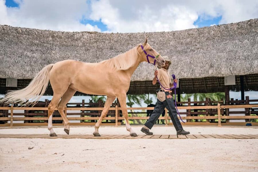 Punta Cana: Xploration Animal Park Bus Tour with Encounters - What the $90 price covers
