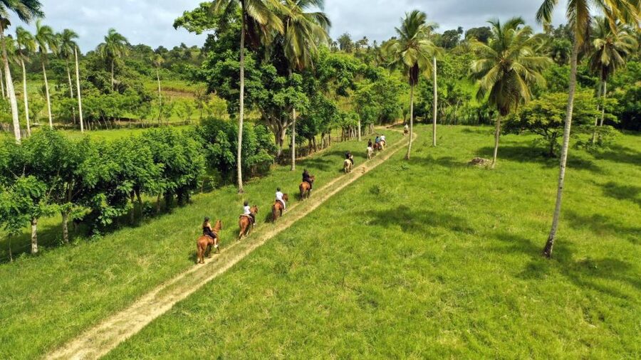 Punta Cana: Xploration Animal Park Bus Tour with Encounters - Practical planning for a smoother day