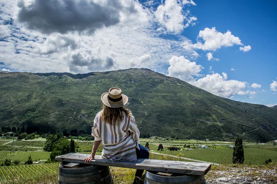 Queenstown & Gibbston Valley: Hop-On Hop-Off Wine Tours - Why this bus works well around Queenstown