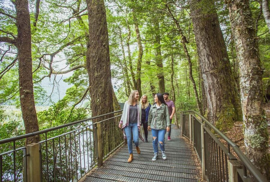 Queenstown: Milford Sound Coach & Cruise Full-Day Trip - Why rainy weather can be good news