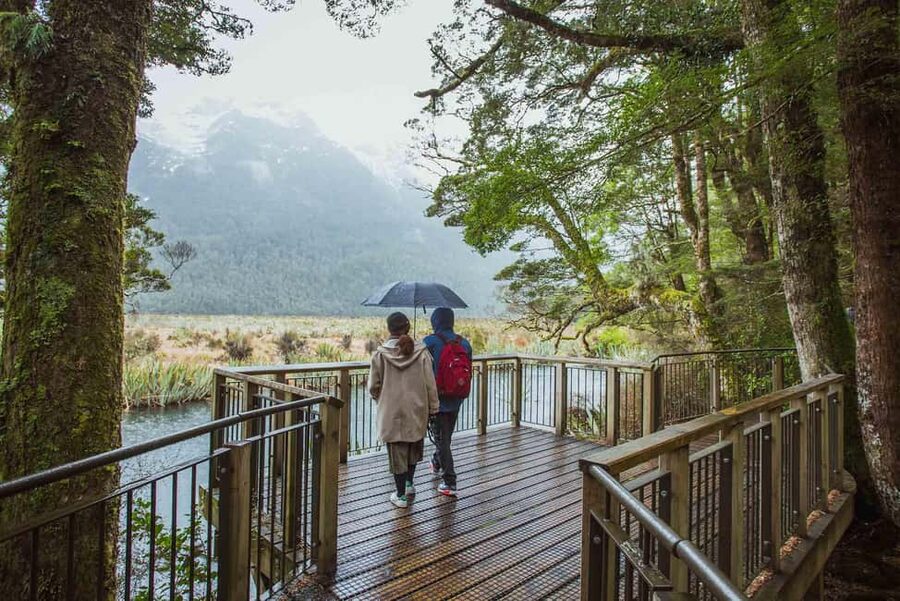 Queenstown: Milford Sound Coach & Cruise Full-Day Trip - Stirling Falls and the wildlife watch