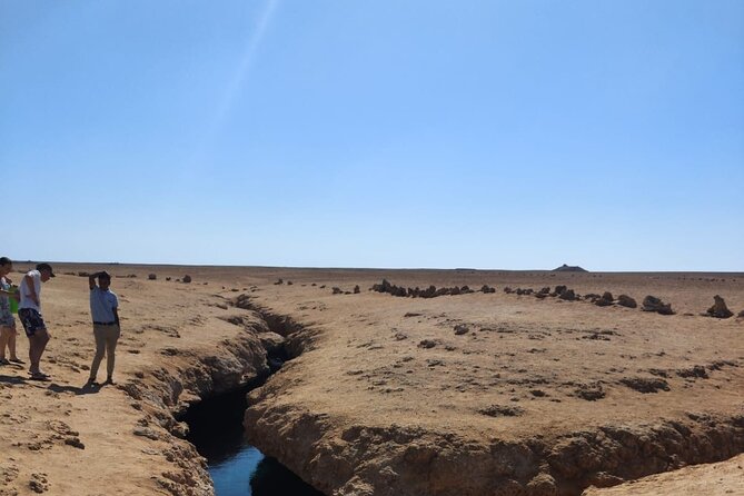 Ras Mohamed National Park Half Day Tour by Bus In Sharm El Sheikh - Mangroves, salt marshes, and Earthquake Crack