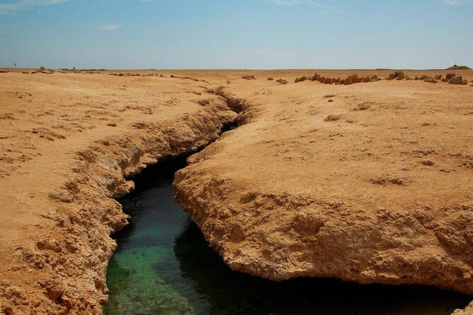 Ras Mohamed National Park Half Day Tour by Bus In Sharm El Sheikh - Timing, comfort, and the small annoyances