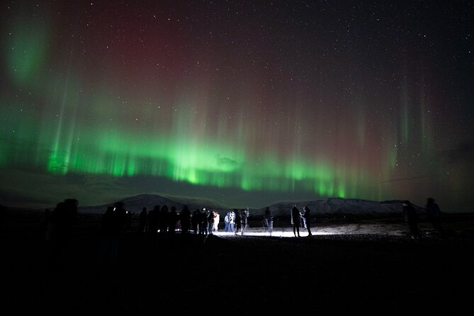 Reykjavik: Northern Lights Comfort Coach with Surprise - Hot chocolate, Icelandic spirits, and the surprise