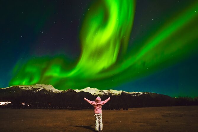 Reykjavik: Northern Lights Comfort Coach with Surprise - Who should book this Northern Lights hunt?
