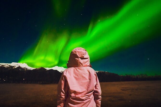 Reykjavik: Northern Lights Comfort Coach with Surprise - How the 2.5-hour countryside search works