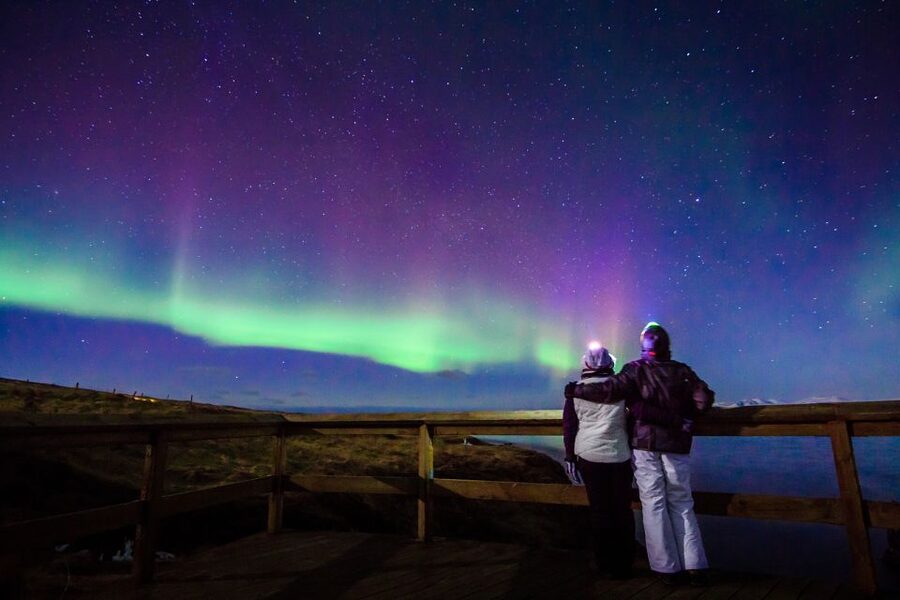Reykjavík: Northern Lights Minibus Tour with Photos - The free retry policy is the safety net