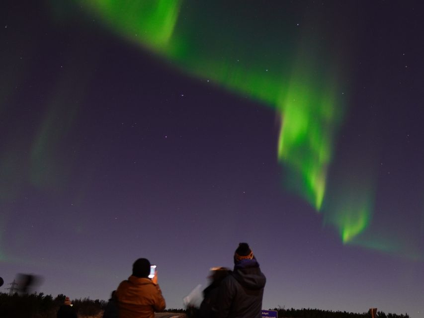 Reykjavik: Northern Lights Tour w/Pro Photos - Small Group - Professional photos, Viking costumes, and fair turns