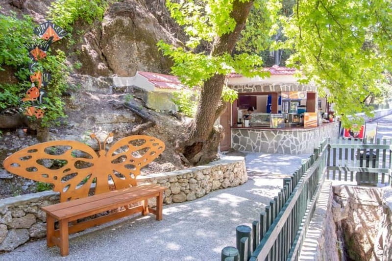 Rhodes: Butterfly Valley and Filerimos Hill Bus Trip - Why this Rhodes half-day trip works