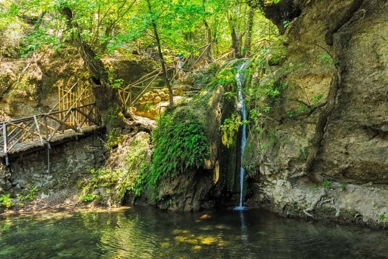 Rhodes: Butterfly Valley Half-Day Bus Trip - How to spot the butterflies
