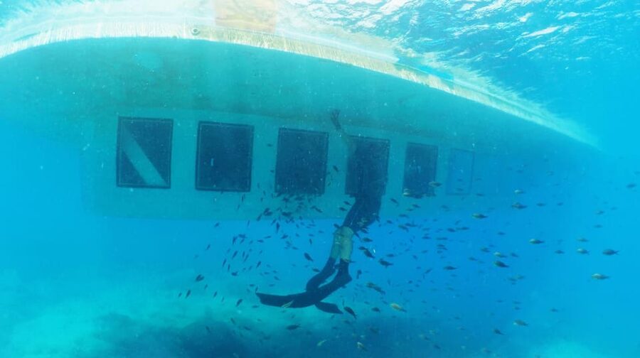 Rhodes: Combo Ticket - Hop On Hop Off Bus & Submarine Cruise - Watching fish through the underwater windows