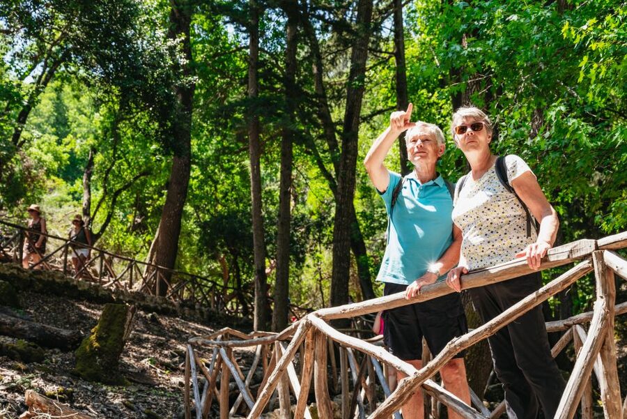 Rhodes: Filerimos Hill and Butterfly Valley Bus Trip - Practical tips for a smoother day