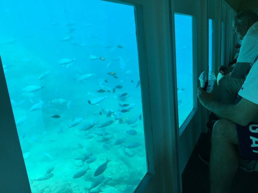 Rhodes: Hop-on Hop-off Bus and Submarine Tour - Which part offers the best value for $41?