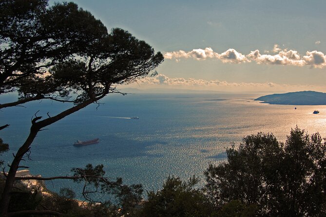 Rock Tour in Gibraltar by Bus with Tickets - Riding up the Rock of Gibraltar