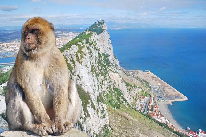 Rock Tour in Gibraltar by Bus with Tickets - St. Michael’s Cave is the highlight