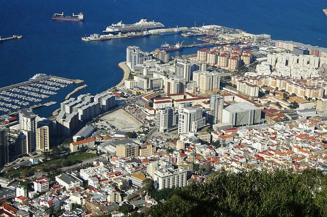 Rock Tour in Gibraltar by Bus with Tickets - Meeting Gibraltar’s famous apes