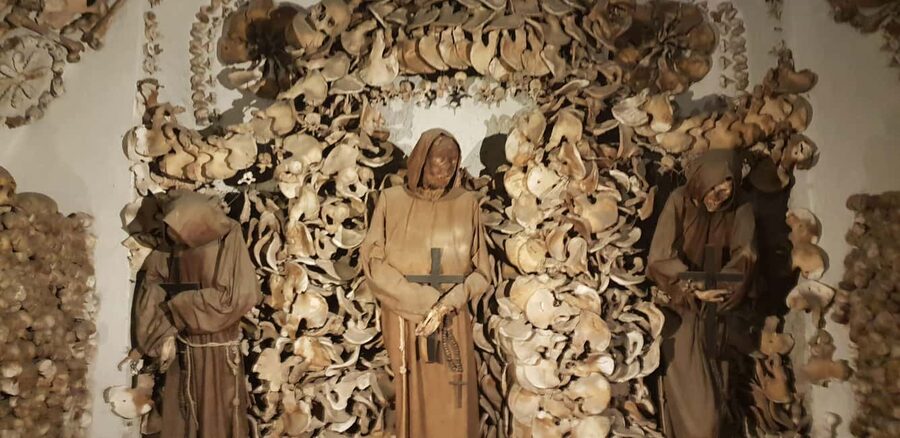 Rome: Capuchin Crypt Experience & Hop-On Hop-Off Transfer - Ride from Piazza Venezia to Barberini