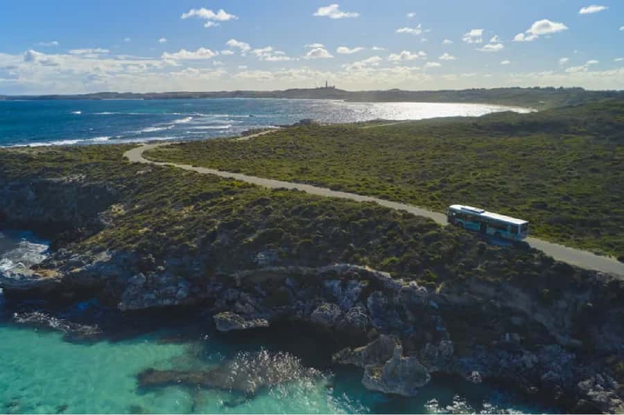 Rottnest Island Ferry and 1.75 Hr Bus Tour - Key points at a glance