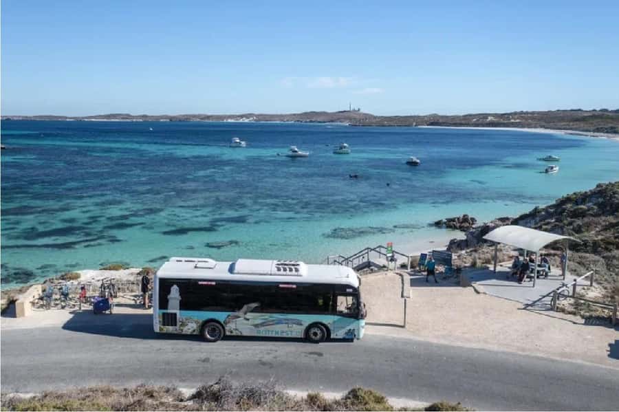 Rottnest Island Ferry and 1.75 Hr Bus Tour - Why the early ferry makes sense
