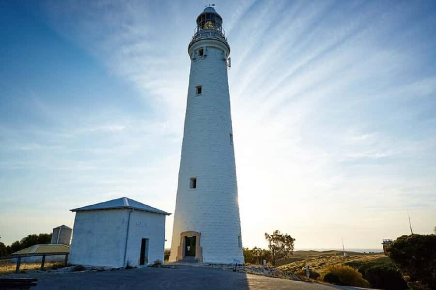Rottnest Island Ferry and 1.75 Hr Bus Tour - Henrietta Rocks and the coastal stops