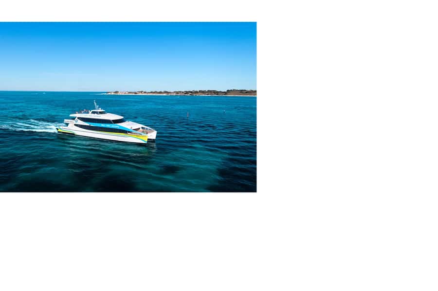 Rottnest Island Ferry and 1.75 Hr Bus Tour - A bus tour built for first-time visitors