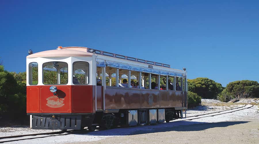 Rottnest Island: Grand Bus and Train Tour with Lunch - Start at Settlement Railway Station