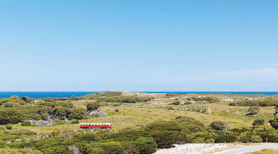 Rottnest Island: Grand Bus and Train Tour with Lunch - What the $77 price really includes