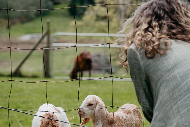 Salt Spring Island "Artisan Trail" Hop On Hop Off Tour! - What the Price Gets You