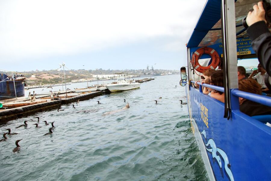 San Diego: SEAL City Tour by Amphibious Bus - Navy ships, fishing boats, and San Diego’s working harbor