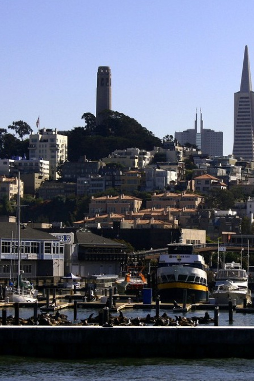 San Francisco: Hop-On Hop-Off City Bus Tour and Bay Cruise - What the 60-Minute Bay Cruise Adds