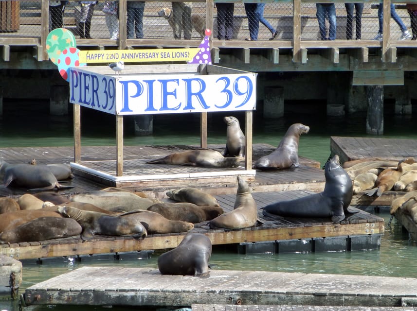 San Francisco: Hop-On Hop-Off City Bus Tour and Bay Cruise - Who Will Get the Most From This Tour
