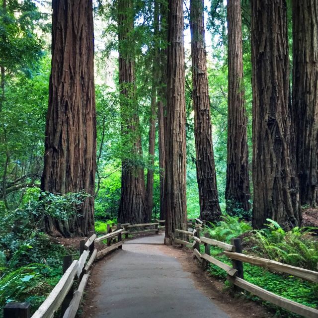San Francisco: Hop-On Hop-Off Sightseeing Tour with 17 Stops - North Beach, Chinatown, and the Embarcadero