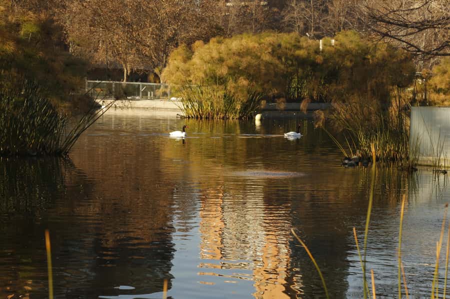 Santiago Half-Day Walking Tour with Hotel Pick up & Brunch - Bicentenario Park and the city’s newer public spaces