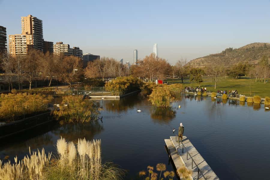 Santiago Half-Day Walking Tour with Hotel Pick up & Brunch - Central Market and the first local bite