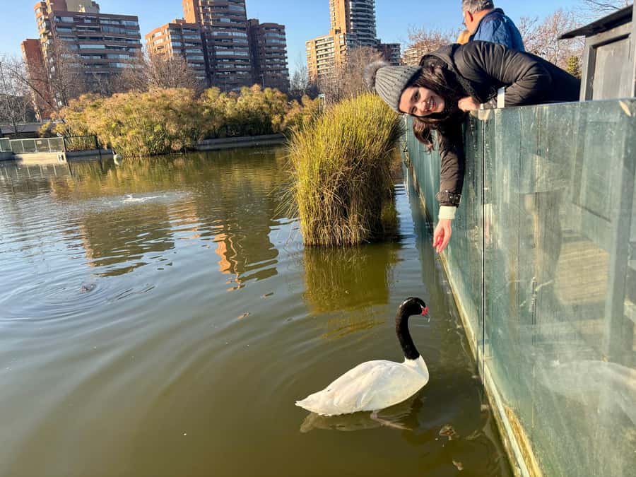 Santiago Half-Day Walking Tour with Hotel Pick up & Brunch - Santa Lucia Hill for a city view