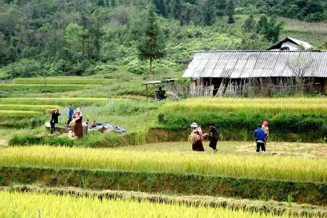 Sapa 3 Days Trekking Tour By Bus from Hanoi (2 Nights in Hotel) - Meals, hotels, and the pace of the trip