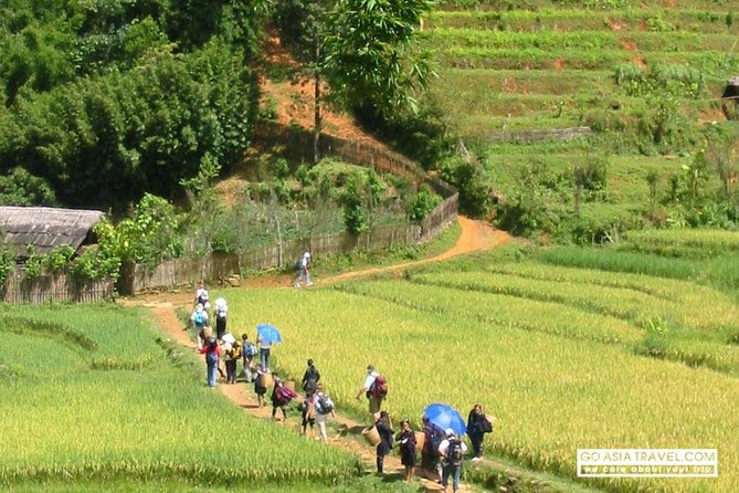 Sapa - Bac Ha Trek Tour - Night Train & Bus & Homestay overnight - Cat Cat Village and the first short trek