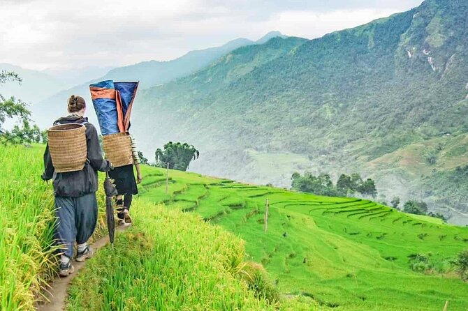 Sapa Trek Tour with Sleeper Bus/Night Train - Overnight at Hotel - Lao Chai and Ta Van are the main trekking days