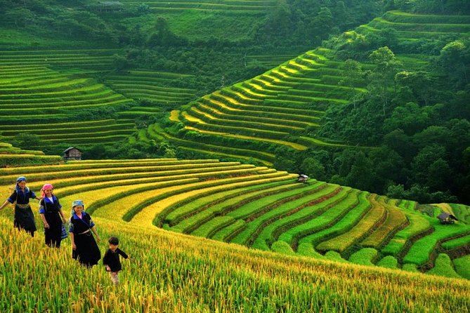 Sapa Trek Tours -2D1N Stay At 3*** -TRANSFER BY SLEEPING BUS - From Hanoi to the Hoàng Liên Son mountains