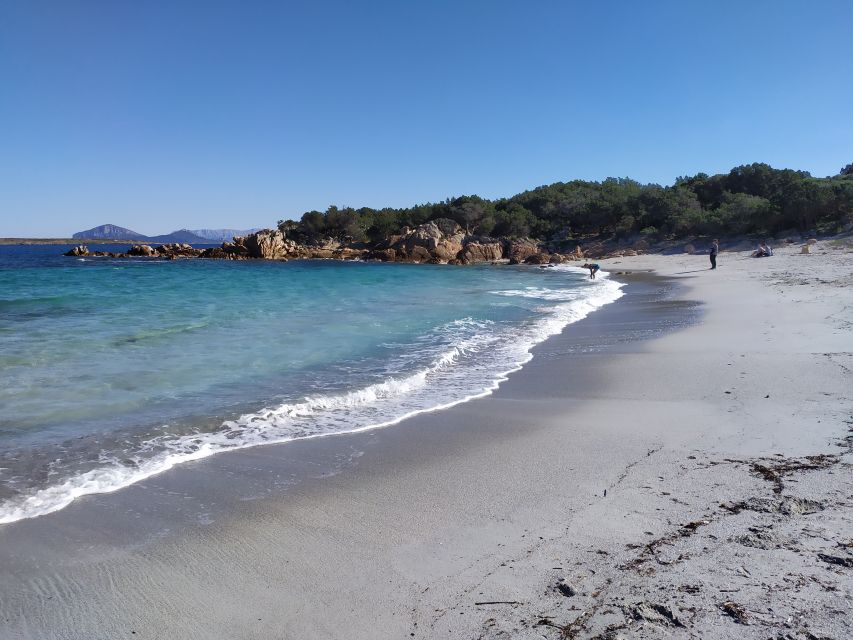 Sardinien: Tour entlang der Smaragdküste im Minibus - Should you book the Emerald Coast minibus tour?