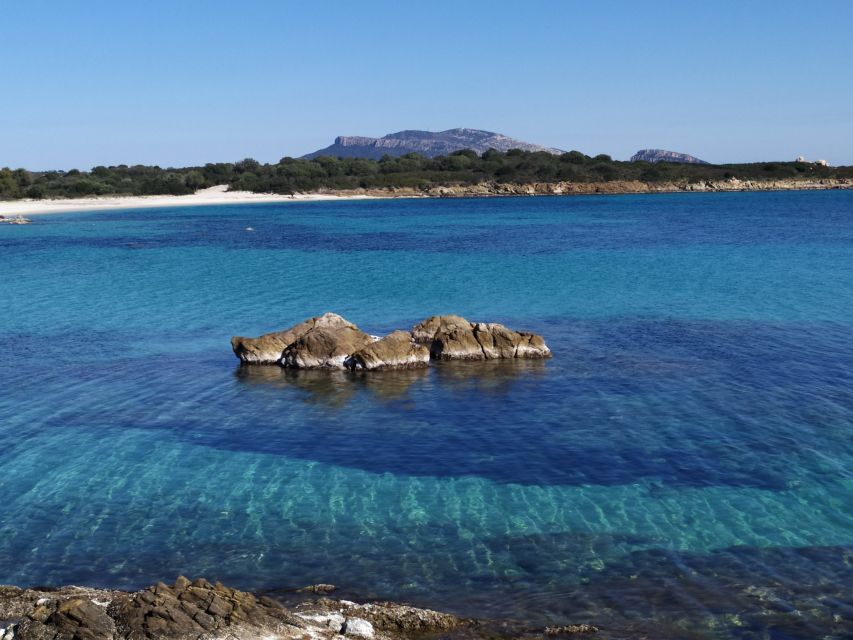 Sardinien: Tour entlang der Smaragdküste im Minibus - Porto Cervo and the international holiday scene