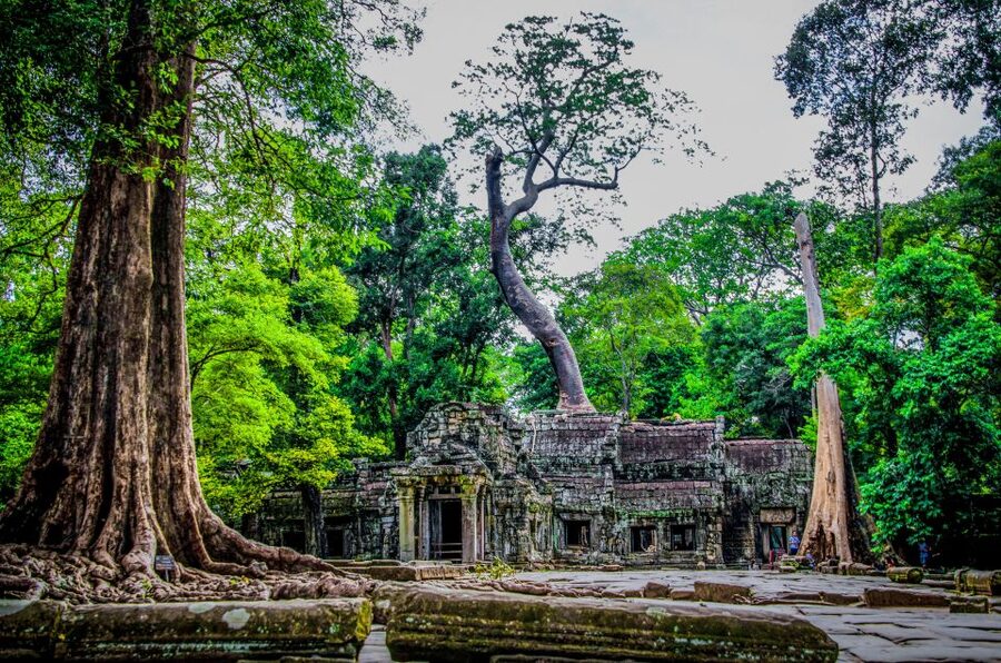 Seat-In-Coach: Small Circuit tour with Sunrise at Angkor Wat - Should you book this sunrise Angkor tour?