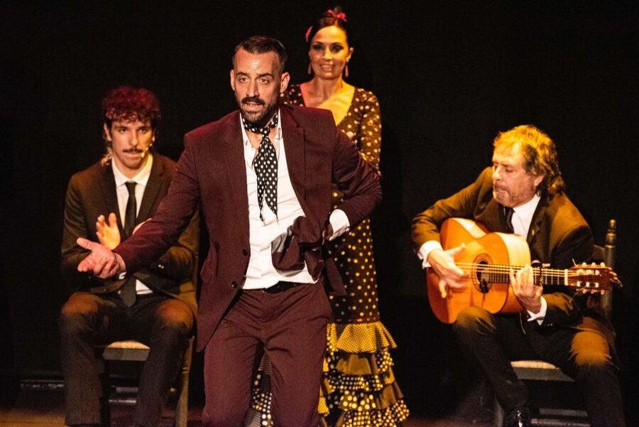 Sevilla: Hop-On Hop-Off & Walking Tours, Cruise & Flamenco - What $68 gets you, and when it pays off