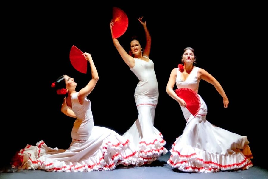 Sevilla: Hop-On Hop-Off & Walking Tours, Cruise & Flamenco - Planning the day without a scramble
