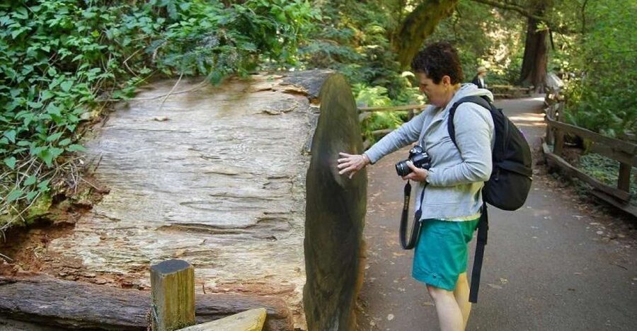 SF: Guided Muir Woods Tour & Hop-On Hop-Off Tour (Save 15%) - Sixteen stops for San Francisco sightseeing