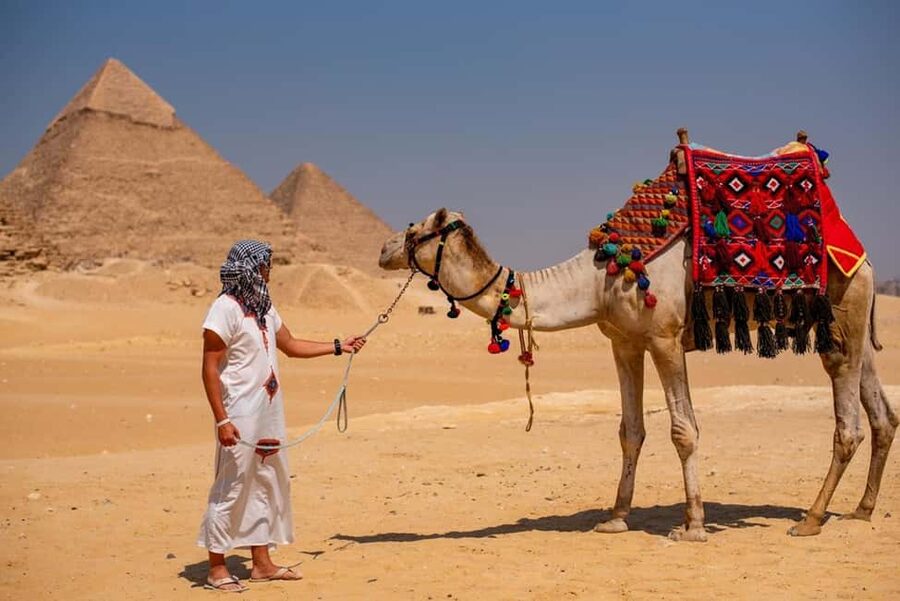 Sharm El-Sheikh: Full-Day Tour of Cairo and Pyramids by Bus - Lunch, papyrus, oils, and other stops