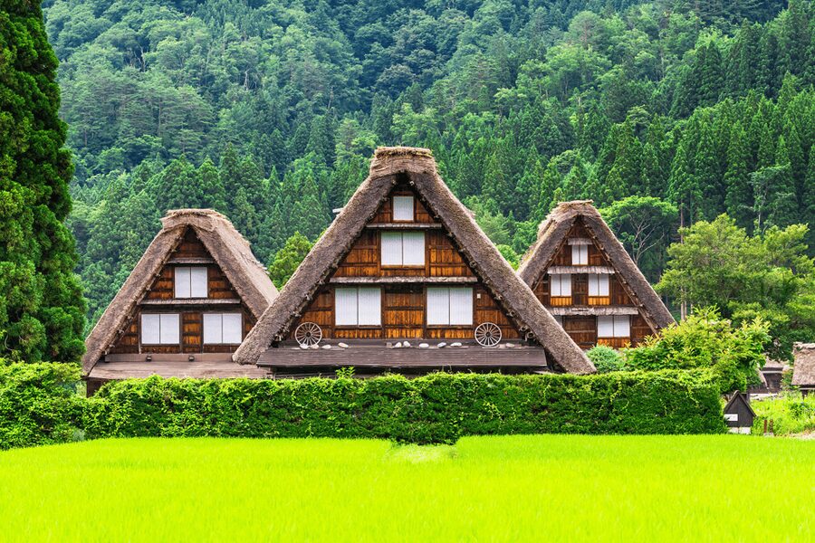 Shirakawago and Takayama 1 Day Bus Tour from Nagoya - The value of a fixed route