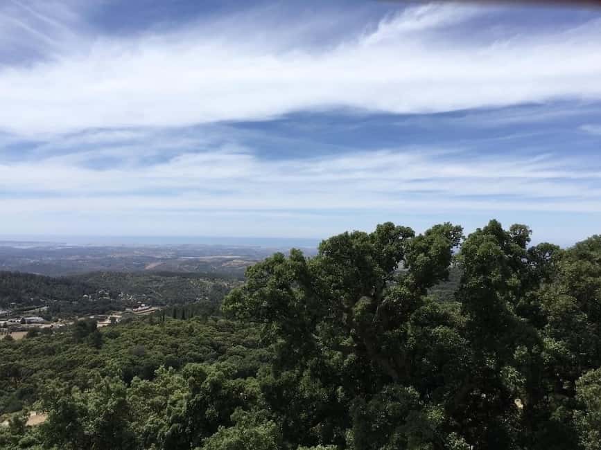 Silves and Monchique Mountain: Guided Bus Tour - Up into the Monchique Mountains