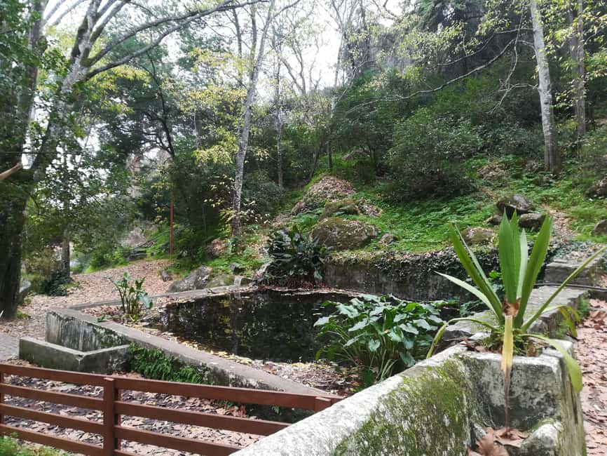 Silves and Monchique Mountain: Guided Bus Tour - Fóia, the Algarve’s highest point