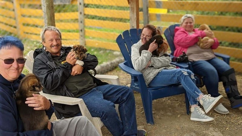 Skagway: Klondike Highway & Yukon Bus Tour with Husky Kennel - Should you book this Skagway tour?